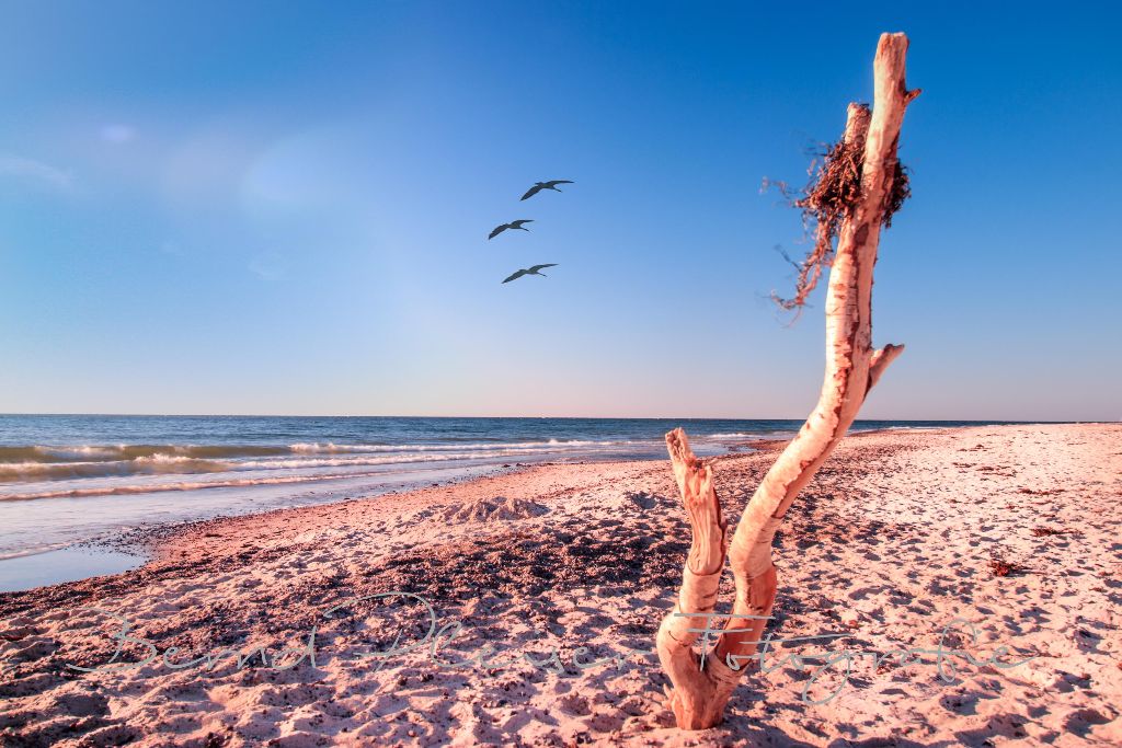 Weststrand auf dem Darss