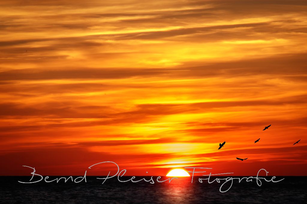 Sonnenuntergang auf dem Darss