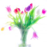Tulpenstrauß